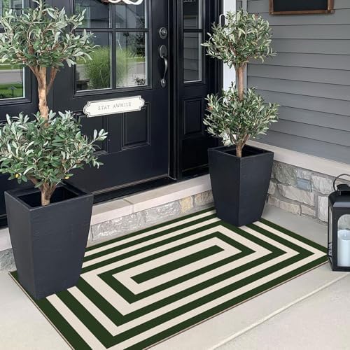 Front Door Mat Indoor Entrance 2x4.3 Modern Green White Striped Rug