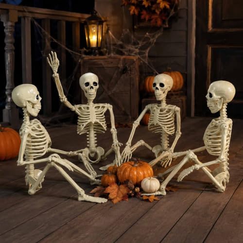 2 Pack 24"Halloween Skeleton - 2 ft Life Size Human Skeleton with Full Body Posable Joints Plastic Skeleton for Halloween Skeletons Decor Yard Patio Lawn Garden Skeleton Props Spooky Party Decoration