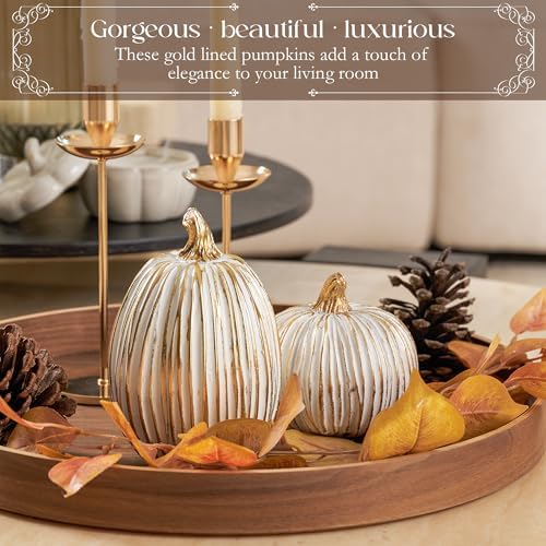 DN DECONATION White and Gold Fall Pumpkin Decoration for Table Centerpieces