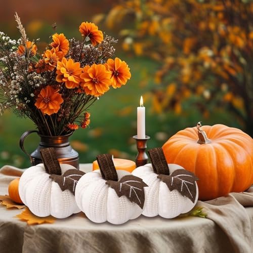 3Pcs Knitted Pumpkin Decor Set, Small Fall Hanging Ornaments for Home