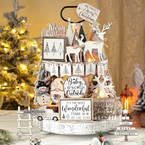 Shellwei 20 Pcs Neutral Christmas Tiered Tray Decor, Winter Farmhouse Signs