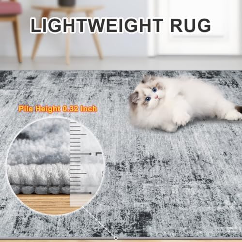 PLHXFR 9x12 Area Rug Living Room: Modern Abstract Washable Carpet Black
