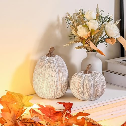 AOMOONOA Artificial Pumpkin Decor, Brown and White Decorative Pumpkins