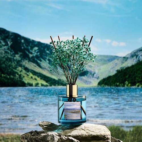 COCORRÍNA Reed Diffuser - Lake Tahoe 6.7 Fl.oz Reed Diffuser Set with 8 Sticks & Preserved Baby's Breath, Reed Diffuser