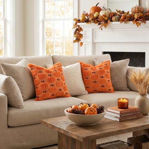 Artscope Fall Pumpkin Throw Pillow Covers 18x18 Set of 2, Autumn Soft Plush Faux Fur Decoration Cushion Covers for Thanksgiving Holiday Couch Sofa Bedroom Home Decor-Orange