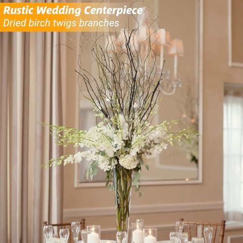 60Pcs Real Dried Birch Twigs Branches 16 Natural Decorative Birch Branches