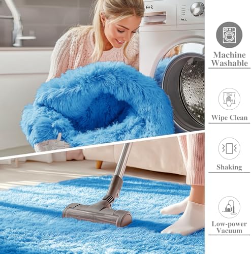 OLANLY 6x9 Machine Washable Large Area Rugs for Living Room, Bedroom, Soft Fluffy Shaggy Bedside Rug, Indoor Floor