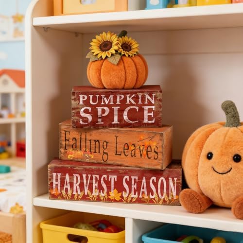 Fall Pumpkin Decor, Fall Decorations for Home