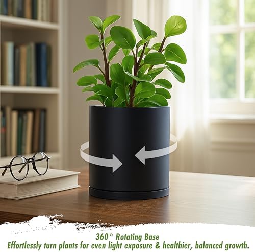 D'vine Dev Double-Layer Self-Draining Planter Set – Rotating Plastic Outer Pot with Clear Inner Liner for Root Health, Perfect for Indoor Plants, 6.5", Set of 2, Black, 73-V-B-2
