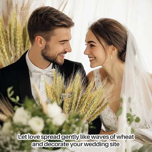 Sukh 50 Stems Dried Wheat Stalks for Vase - Cyan Wheat Straw Decor 13.3 in