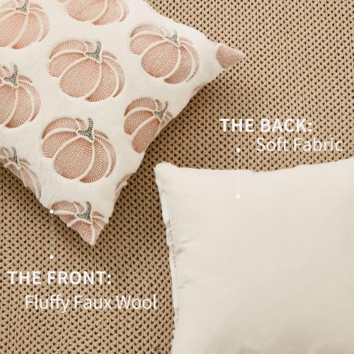 DFXSZ Fall Pillow Covers 20x20 White Pumpkin Plush Autumn Home Decor 093C20