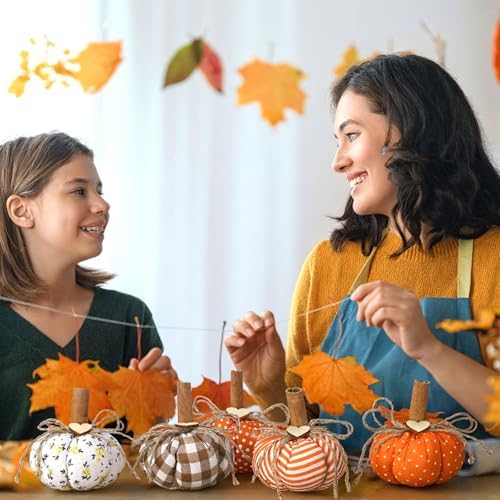 Geelin 8 Pcs Fall Fabric Pumpkins Thanksgiving Farmhouse Table Decor