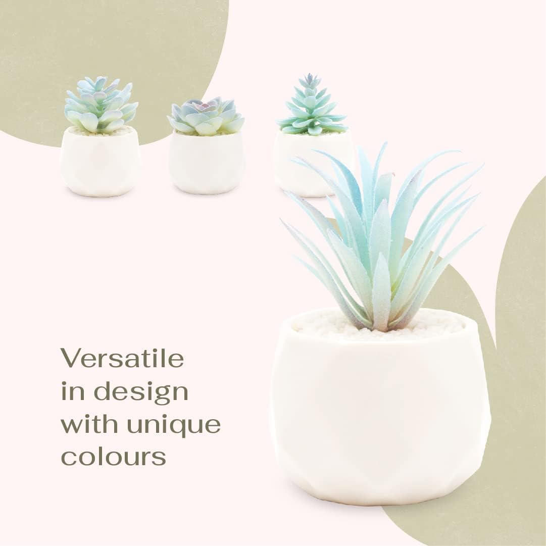 Mini Artificial Succulent in Pots Fake Plants / Blue / Ceramic