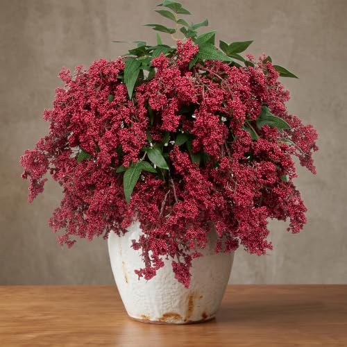 Daynight 4 Pcs Artificial Berry Stem for Vase, 40In Faux Nandina Branches Fall Floral Picks Fake Realistic Berry Spray for Wedding Autumn Farmhouse Home Decor(4, RED, 40Inch)