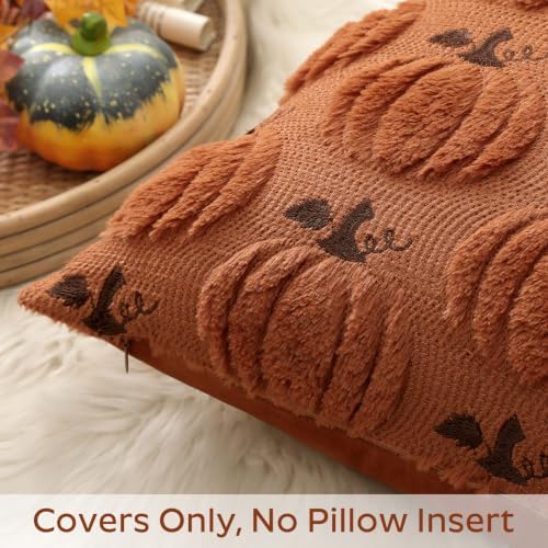 Artscope Fall Pumpkin Throw Pillow Covers 20x20 Set of 2, Autumn Soft Plush Faux Fur Decoration Cushion Covers for Thanksgiving Holiday Couch Sofa Bedroom Home Decor-Rust