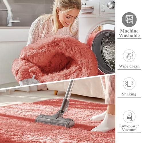OLANLY 8x10 Machine Washable Large Area Rugs for Living Room, Bedroom, Soft Fluffy Shaggy Bedside Rug, Indoor Floor