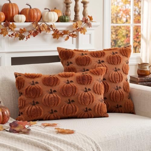 Artscope Fall Pumpkin Throw Pillow Covers 20x20 Set of 2, Autumn Soft Plush Faux Fur Decoration Cushion Covers for Thanksgiving Holiday Couch Sofa Bedroom Home Decor-Rust