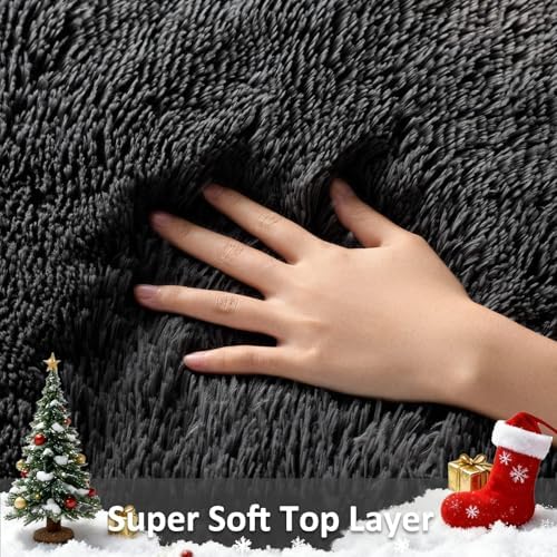 Ophanie Small Black Entryway Throw Rugs for Bedroom, 2x3 Mini Area Rug, Affordable Non Slip Fluffy Carpet, Fuzzy Soft