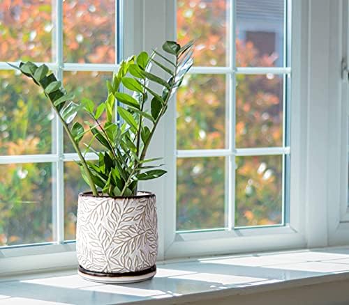 D'vine Dev Embossed Leaves Ceramic Planter, 6 in, Smoked White, 27-A-X-1
