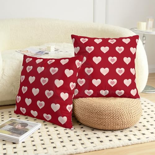 Valentine Day Outdoor Throw Pillow Covers 20x20 Set of 2 Red Pink Heart Pillows Cases Valentines Decorative Cushion Covers for Bed Couch Sofa Living Room
