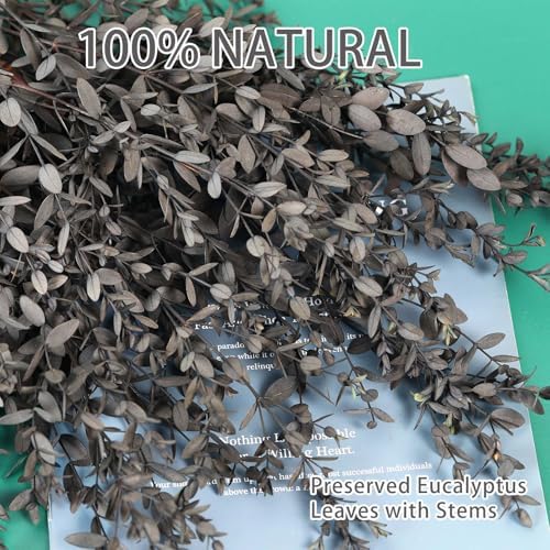 Dried Eucalyptus Leaves Stems, Real Preserved Fresh Eucalyptus Plant for Shower, Small Dried Willow Branches Bundle for Wedding Wreath Party Home Fragrance Vase Bathroom Decor (Black, 3oz)