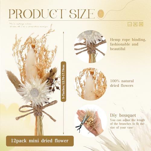Layhit 12 Pcs Mini Dried Flower Bouquet Boho for Wedding,Rustic