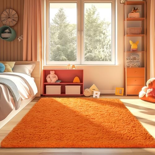 Ophanie Orange Fall Rugs for Bedroom Living Room,Fluffy Fuzzy Furry Carpet,Plush Soft Shaggy Bedside Indoor Floor 4x6