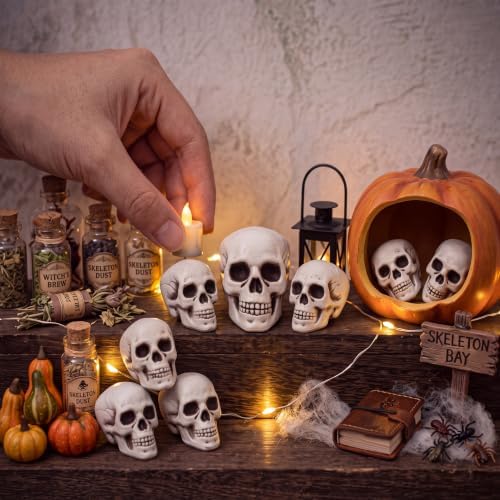 Boao 8 Pcs Halloween Small Skull Heads, 2.4 in Skeleton Skulls for Decor