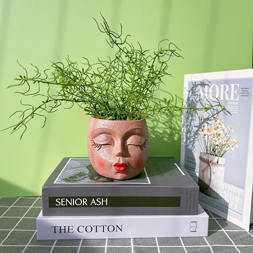 Face Planter Pot,Small Cute Resin Flower Head Planter with Red Lip,Brown,1P