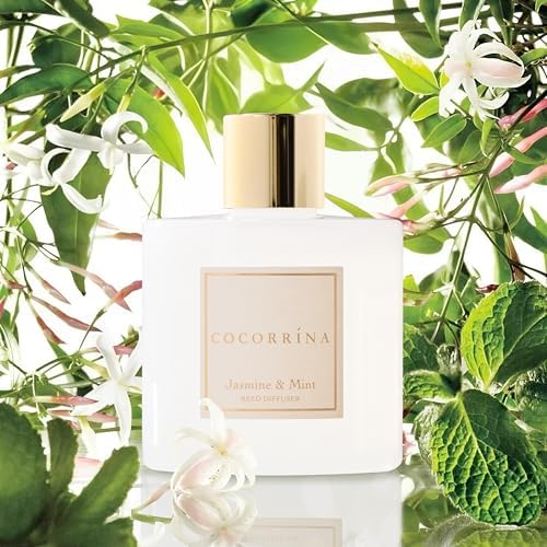 COCORRÍNA Reed Diffuser - Jasmine & Mint 6.7 Fl.oz Reed Diffuser Set with Sticks & Preserved Baby's Breath, Reed