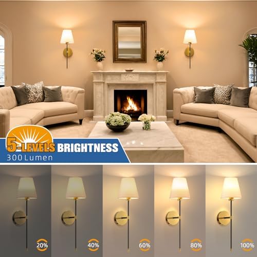NIORSUN 19.9 inch Battery Operated Wall Sconce Set of 2,Black-Gold Rechargeable Wall Lights with 10400mAh Dimmable