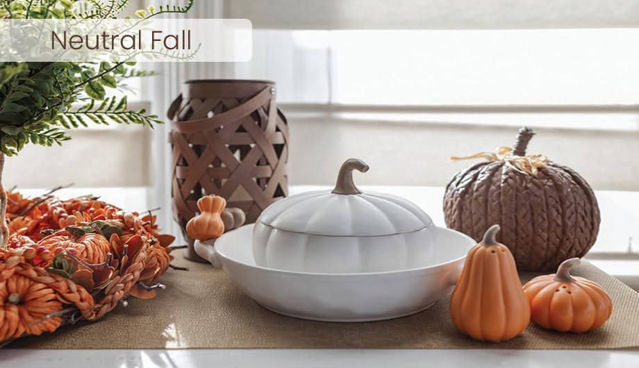 Boston International Pumpkin Décor Autumn & Fall Decorations, Small, Woven Wicker