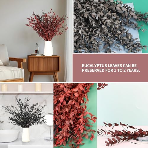 Dried Eucalyptus Leaves Stems, Preserved Real Eucalyptus Plant, Dried Willow Branches Bundle for Wedding Wreath Home Fragrance Vase Filler Bathroom Decor, Fall Arrangement Decorations (Red, 3oz)