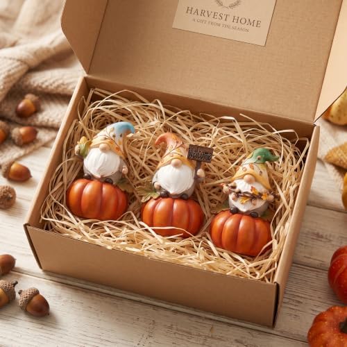Fall Decorations for Home Fall Gnome Table Decor on Pumpkin Figurines