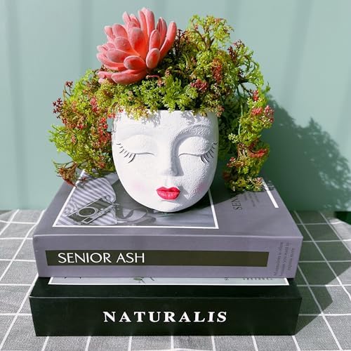 Face Planter Pot,Small Cute Resin Flower Head Planter with Red Lip,White,1P