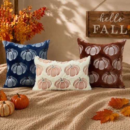 DFXSZ Fall Pillow Covers 12x20 Beige Pumpkin Plush Autumn Home Decor 093A12