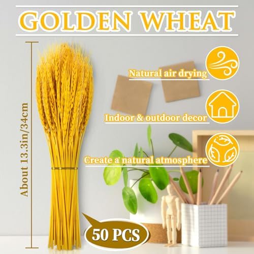 Sukh 50 Stems Dried Wheat Stalks - Golden Wheat Straw for Vases 13.3 in