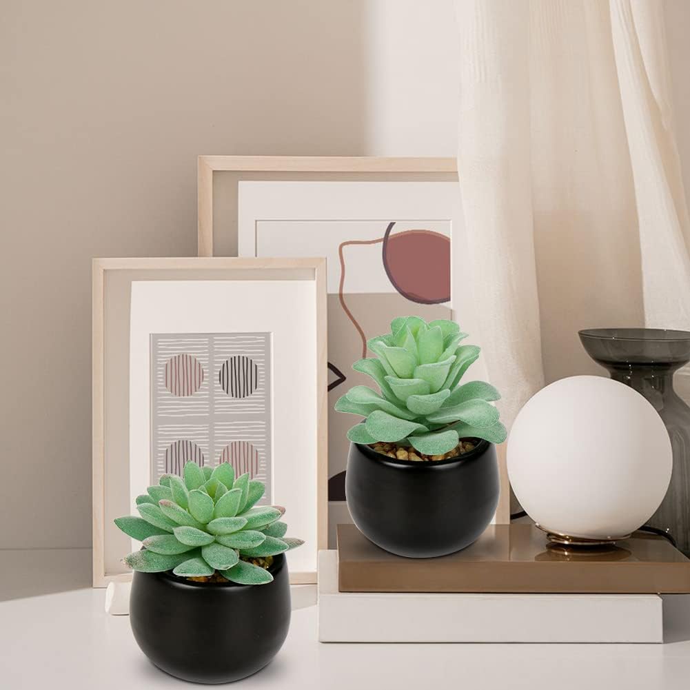Artificial Succulents Fake Plants Mini Succulents Potted in Ceramic / Type / Black / Set of 3