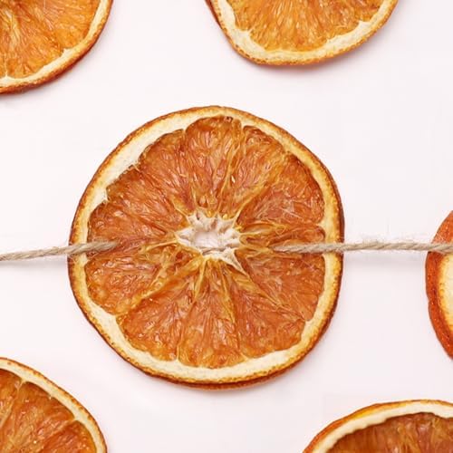 Christmas Decorations - 10 Ft Dried Orange Slice Fall Christmas Garland