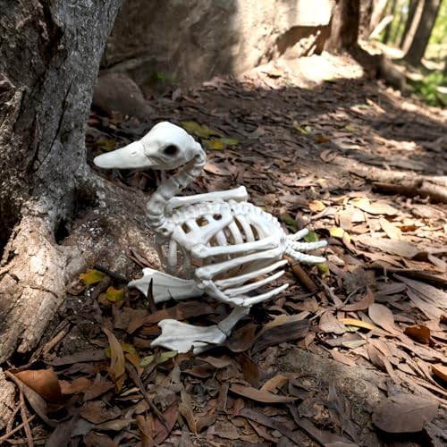 Seasons 11" Skeleton Duck Halloween Decoration