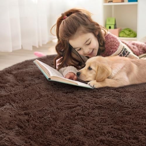 OLANLY Coffee Round Rugs for Bedroom - Machine Washable, 2 ft Circle Area Rugs for Living Room, Soft and Fluffy Shaggy
