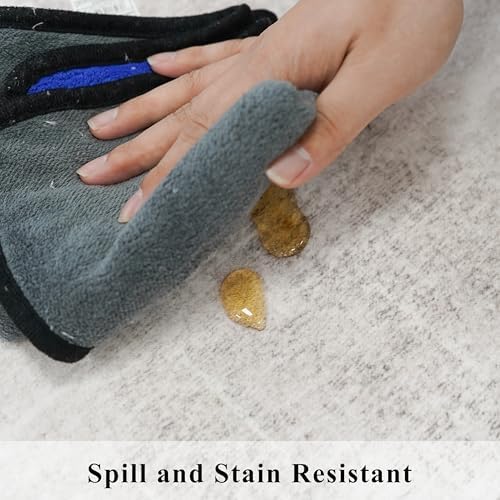 Washable 2x4 Entryway Area Rugs: Abstract Water Resistant Kitchen Sink Rug Non-Slip Durable Doormat Ultra Soft Living