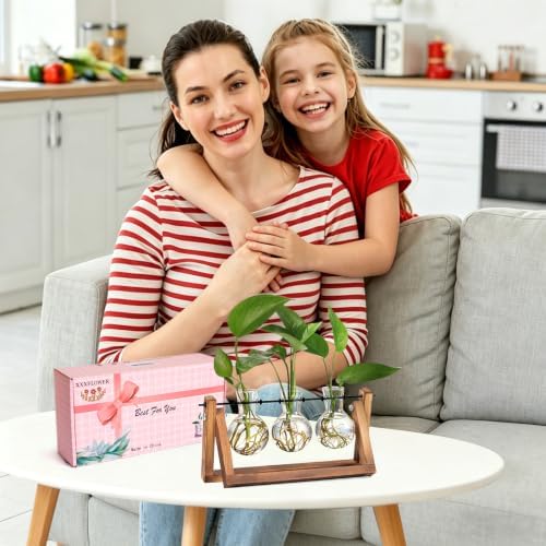 XXXFLOWER Plant Terrarium with Wooden Stand, Air Planter Bulb Glass Vase Metal Swivel Holder Retro Tabletop for