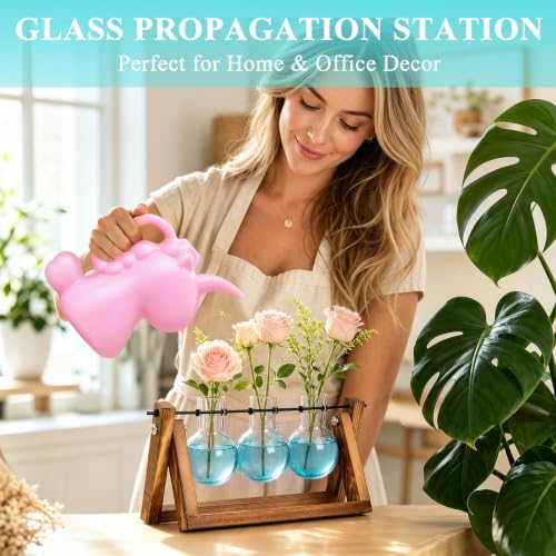 XXXFLOWER Plant Terrarium Kit with Wooden Stand 3 Gradient Blue Bulb Vases