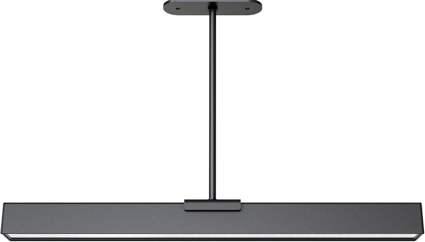 Rechargeable Motion Sensor Ceiling Light, Full Metal Pendant Lights, Battery Operated LED Closet Lights with Remote
