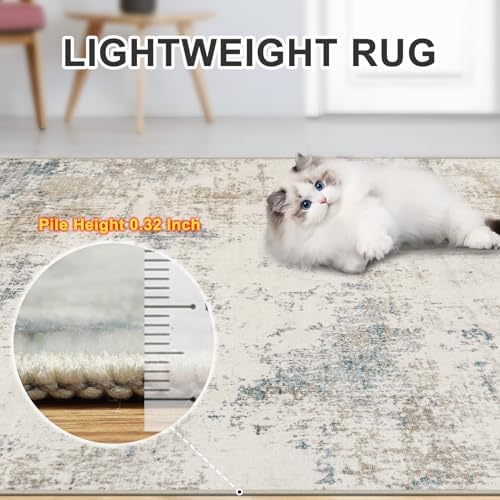 PLHXFR 10x12 Area Rug Living Room: Modern Abstract Washable Carpet Multi