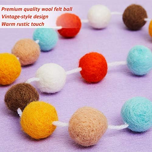 WILLBOND 3 Pieces Felt Pom Ball Garland,Fancy Colors