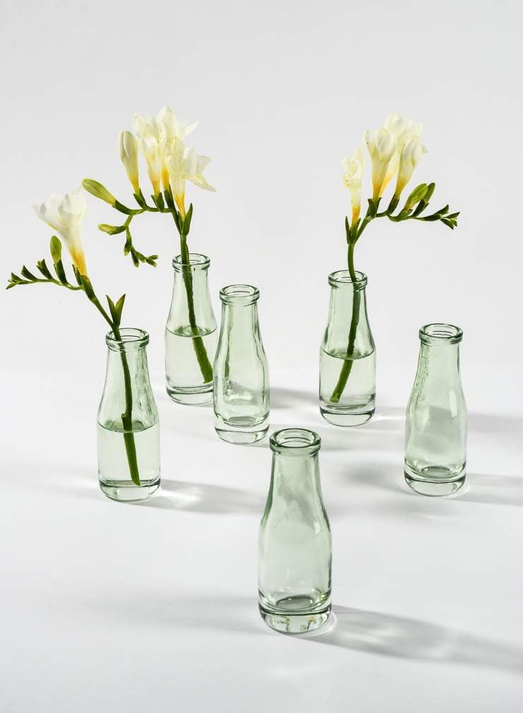Mini Glass Bud Vase / Green / Set of 6