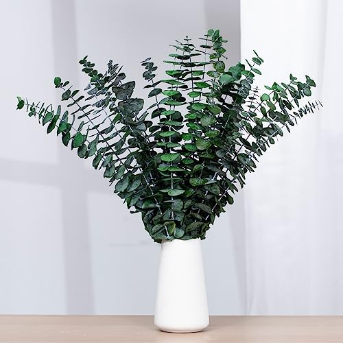 17'' Natural Fresh Eucalyptus Leaves Branches Hanging for Shower / Green / Set of 16