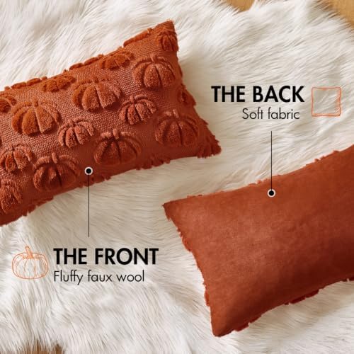 MIULEE Fall Decor Pillow Covers 12x20 Set of 2 Pumpkin Caramel
